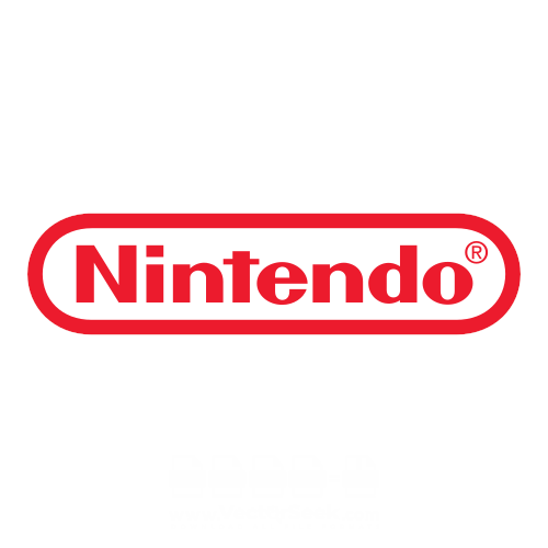 Nintendo Accessories
