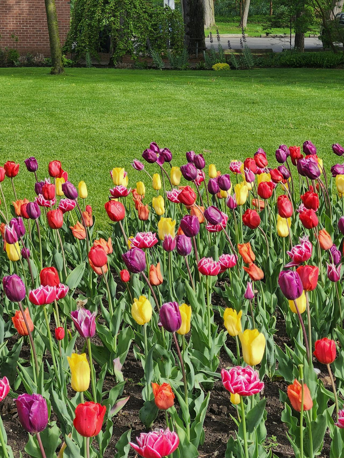 Landscape & Gardening