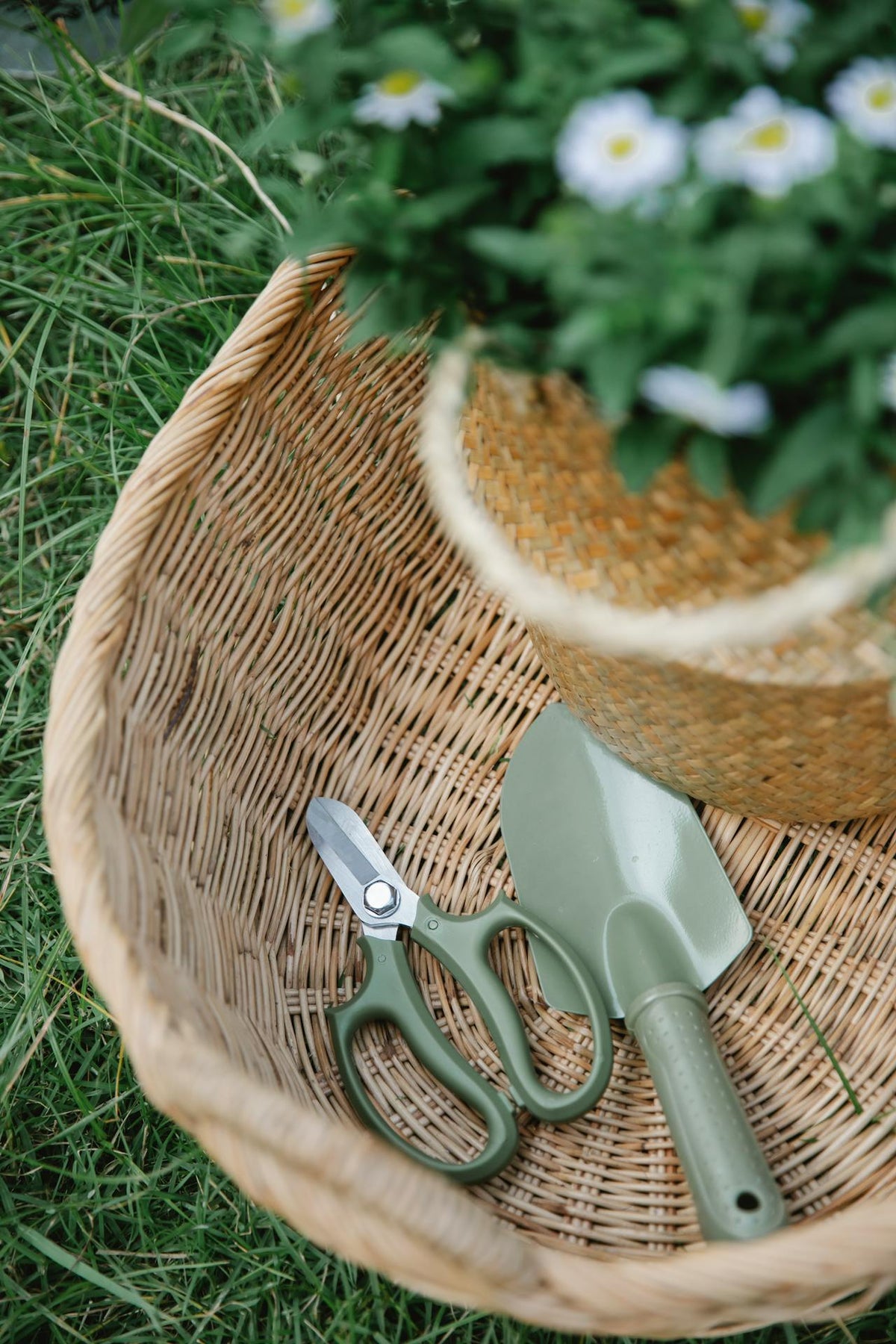 Outdoors & Garden