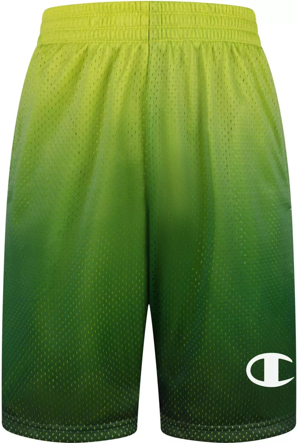 Champion Boys' Ombre Mesh Shorts Large - Sweet Green/Lakeside Green