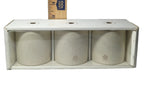 9oz Basil/Lemon/Thyme Speckled Ceramic Kitchen Candle Set - Hearth & Hand