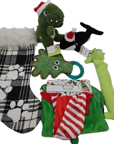 Christmas T-Rex Dog Toy Stocking Bundle🎄🐶 image 0