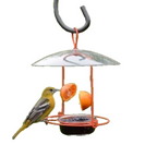 Meijer - Wire Oriole Feeder image 0