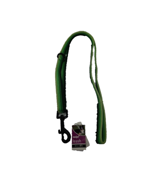 Meijer 60" Pet Leash - Green image 0